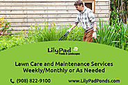 Lawn and landscape maintenance