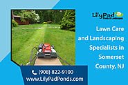 Lawn and landscaping services in Plainfield, NJ
