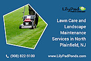 Lawn and landscape maintenance services in NJ