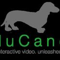 eduCanon: interactive video. unleashed.