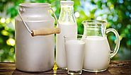 Health Benefits of Milk and Uses of Milk | Our Health Tips