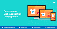 Top Ecommerce Web Application Development Services