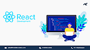Top React Native App Development Company -MobileCoderz