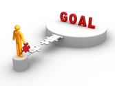 What are your long-term professional sales goals?