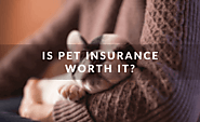 Is Pet Insurance Worth It, or More Trouble Than It's Worth?