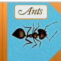 The Strange & Wonderful World of Ants