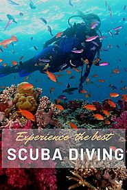 Why Fiji is best place to do Scuba Diving