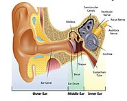 Ear disorders | What You Should Know about them - Wellbeing style