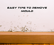 Website at https://www.betterindoors.com/how-to-remove-mould-from-walls/