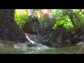 Hidden Waterfall - Port Antonio, Jamaica W.I.