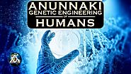 Anunnaki Genetic Engineering of Humans Video
