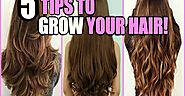 What is the Best Way to Grow Your Hair Long? | Videohippy.com