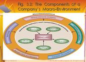 What are the components of Macro environment?