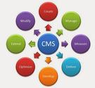 Overview of Content Management Systems (CMS) and its Influence on SEO Efforts | SEO Expert : Seogdk