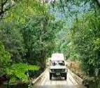 Experience the Daintree Rainforest