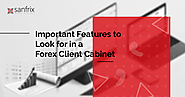 What to Look for in a Forex Client Cabinet | Sanfrix Brokerage Technology