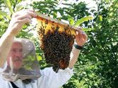 Explain in brief any one type of bee-keeping method