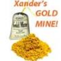 Xander's Gold Mine