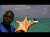 must do in Great Stirrup Cay, Bahamas jet ski/waverunner star fish tour