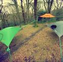 The Incredible Tentsile Stingray Tent