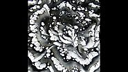 (202) Black and white spun reverse flower dip / Spinn technique / Acrylic pouring / Fluid art