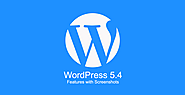 WordPress 5.6: Upcoming Features And Improvements