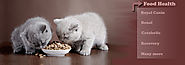 Cat Food Online | Cat Food Products | Cat Food Supplies