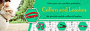 Buy Cat Collars and Leashes Products Online in India at Best Price- 4PetNeeds