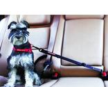 Best Dog Car Harnesses Reviews - Tackk