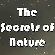 The Secrets of nature: Free nature documentaries