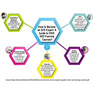 How to Become an SEO Expert