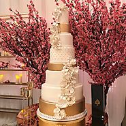 Cake for Any Occasion - Birthday, Baby Shower, Wedding and More