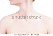 neck/shoulders