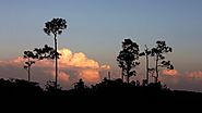 Green Groups Push for Environmental Protections in Stimulus Package