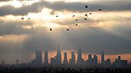 Group Targeting Environmental Racism Relaunches Amid Disparities in Coronavirus Impact
