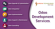 OpenERP/Odoo Software Development and Consulting Company in India