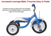 Balance bike vs. Tricycle for 2 year old - Mothering Forums