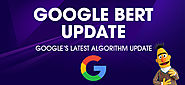 Google BERT Search Algorithm Update. Knowing it Better!