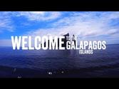 Jesinta Campbell, Felicity Palmateer & Celine Cousteau explore the Galapagos Islands - #NOREGRETS
