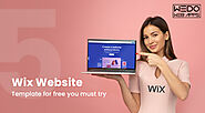 5 Wix Website Template For Free