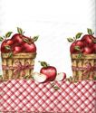 Country Apple Decorations for Kitchen: Apple Kitchen Decor Accessories