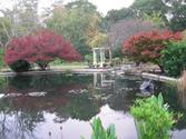 New Hanover County Extension Service Arboretum