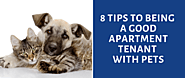 8 tips to being a good apartment tenant with pets