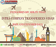 Is It A Good Option To Hire Immigration Consultant For Help?