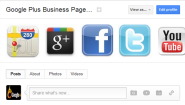 Google Plus for Business SEO Tips - Fill in your Google+ Business Profile Properly - Google Plus Business Pages