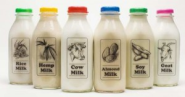 The Best Dairy-Free Milk Alternatives - the Daily Grind