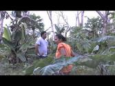 THE PACIFIC WAY STORY - MORDI Tonga. Innovative Rural Development