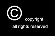 A Primer on Videos Copyright Usage