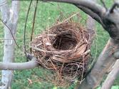 Empty Nest: the final stage? - After the Kids Leave