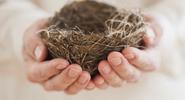 Empty Nest: Life Beyond Parenting - Now What?